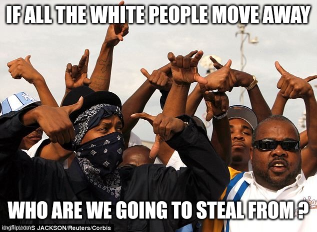 Gang members | IF ALL THE WHITE PEOPLE MOVE AWAY WHO ARE WE GOING TO STEAL FROM ? | image tagged in gang members | made w/ Imgflip meme maker