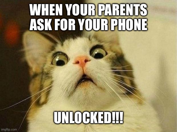 Uh oh | WHEN YOUR PARENTS ASK FOR YOUR PHONE; UNLOCKED!!! | image tagged in memes,scared cat | made w/ Imgflip meme maker