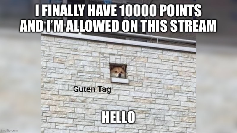 Hey there | I FINALLY HAVE 10000 POINTS AND I’M ALLOWED ON THIS STREAM; HELLO | image tagged in guten tag,hi | made w/ Imgflip meme maker