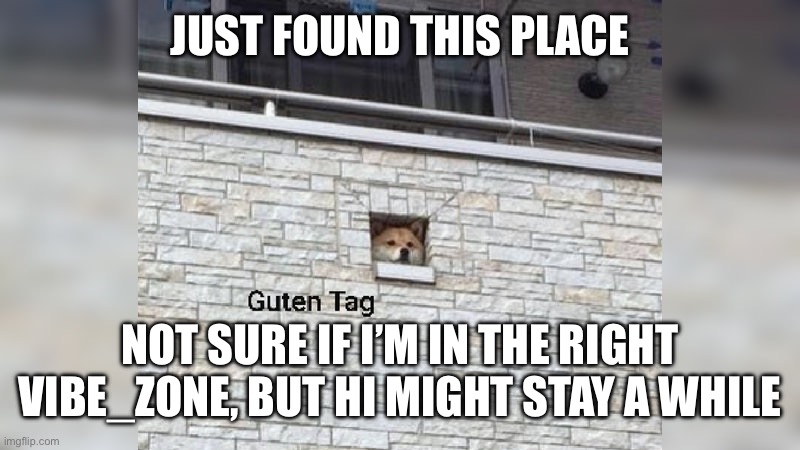 Guten Tag | JUST FOUND THIS PLACE; NOT SURE IF I’M IN THE RIGHT VIBE_ZONE, BUT HI MIGHT STAY A WHILE | image tagged in guten tag | made w/ Imgflip meme maker