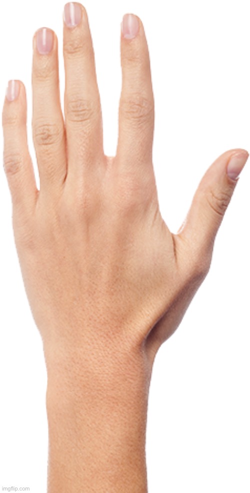 back of a hand | image tagged in back of a hand | made w/ Imgflip meme maker