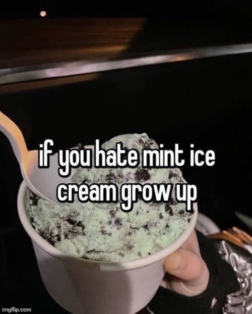 If you hate mint ice cream grow up | image tagged in if you hate mint ice cream grow up | made w/ Imgflip meme maker