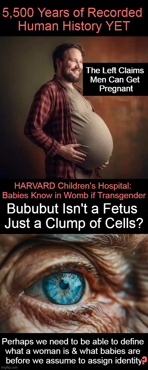 Deep Thought | 5,500 Years of Recorded 
Human History YET; The Left Claims 
Men Can Get 
Pregnant; HARVARD Children's Hospital: 
Babies Know in Womb if Transgender; Bububut Isn't a Fetus 
Just a Clump of Cells? Perhaps we need to be able to define 
what a woman is & what babies are 
before we assume to assign identity; ? | image tagged in woman,baby,did you just assume my gender,identity,confusion,political humor | made w/ Imgflip meme maker