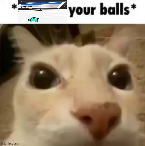 the jol | image tagged in x your balls | made w/ Imgflip meme maker