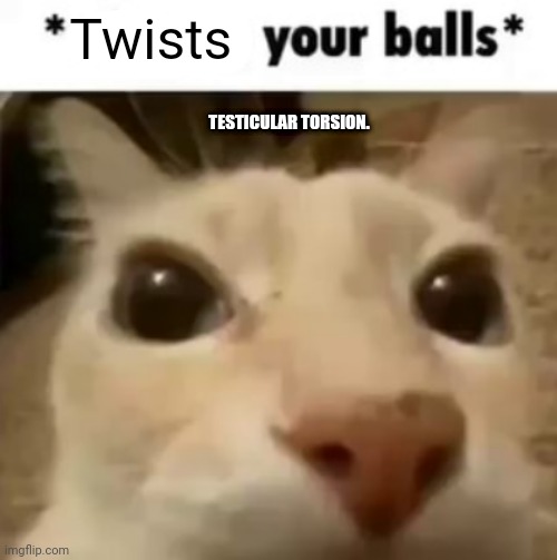 X your balls | Twists TESTICULAR TORSION. | image tagged in x your balls | made w/ Imgflip meme maker