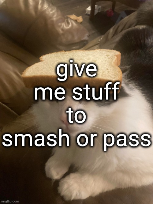 @Rhenium I'm stealing your idea | give me stuff to smash or pass | image tagged in bread cat | made w/ Imgflip meme maker