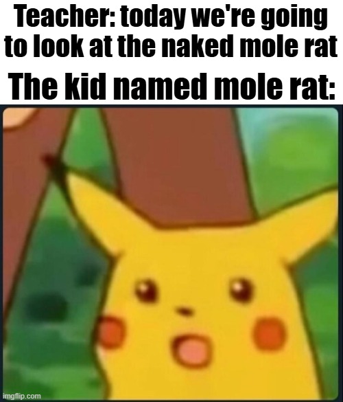 "so this is how it looks like...." | Teacher: today we're going to look at the naked mole rat; The kid named mole rat: | image tagged in surprised pikachu | made w/ Imgflip meme maker