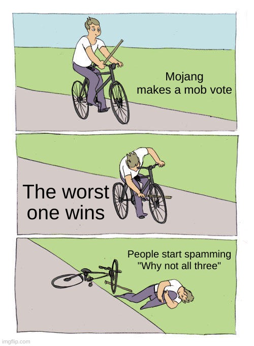 Why not all three | Mojang makes a mob vote; The worst one wins; People start spamming "Why not all three" | image tagged in memes,bike fall | made w/ Imgflip meme maker