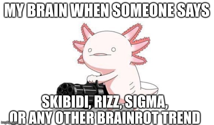 I'm tired of this. | MY BRAIN WHEN SOMEONE SAYS; SKIBIDI, RIZZ, SIGMA, OR ANY OTHER BRAINROT TREND | image tagged in axolotl gun | made w/ Imgflip meme maker