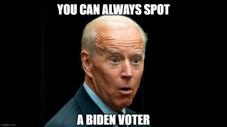 Gas-lighting and propaganda is all they have | YOU CAN ALWAYS SPOT; A BIDEN VOTER | image tagged in joe biden dumb 3,joe biden,voters,dumbasses | made w/ Imgflip meme maker