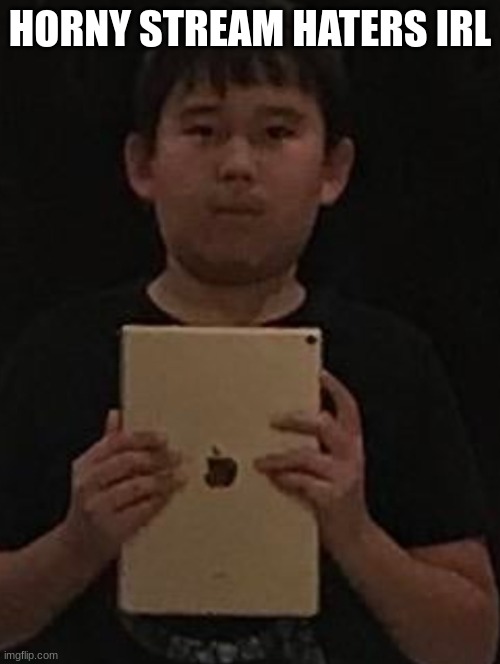 Kid with ipad | HORNY STREAM HATERS IRL | image tagged in kid with ipad | made w/ Imgflip meme maker