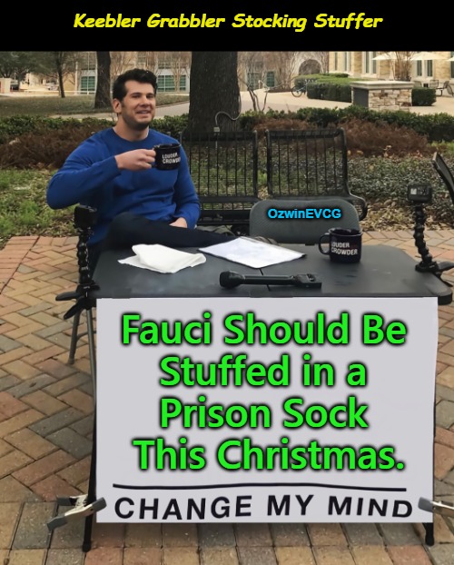 Fauci[s] Overdue for Stuffing | Keebler Grabbler Stocking Stuffer; OzwinEVCG; Fauci Should Be 

Stuffed in a 

Prison Sock 

This Christmas. | image tagged in dr fauci,keebler grabbler,covid crooks,occupied usa,no covid amnesty,fair trials and fluffy pillows | made w/ Imgflip meme maker