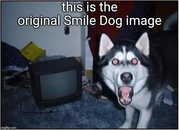 this is the original Smile Dog image | made w/ Imgflip meme maker