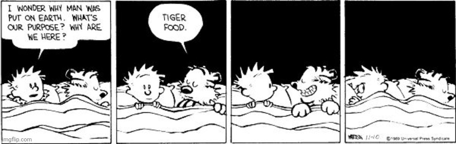 Calvin and Hobbes tiger food | image tagged in calvin and hobbes tiger food | made w/ Imgflip meme maker