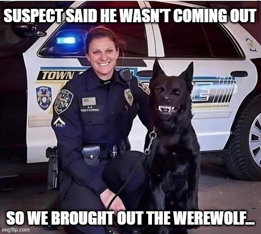 Scary Dog | SUSPECT SAID HE WASN'T COMING OUT; SO WE BROUGHT OUT THE WEREWOLF... | image tagged in dogs | made w/ Imgflip meme maker