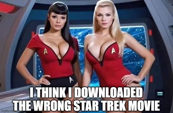 My Kinda Frontier | I THINK I DOWNLOADED THE WRONG STAR TREK MOVIE | image tagged in star trek,sexy | made w/ Imgflip meme maker