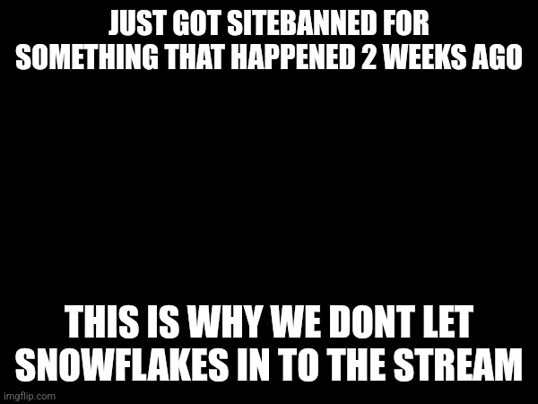 @zetra @libra | JUST GOT SITEBANNED FOR SOMETHING THAT HAPPENED 2 WEEKS AGO; THIS IS WHY WE DONT LET SNOWFLAKES IN TO THE STREAM | made w/ Imgflip meme maker