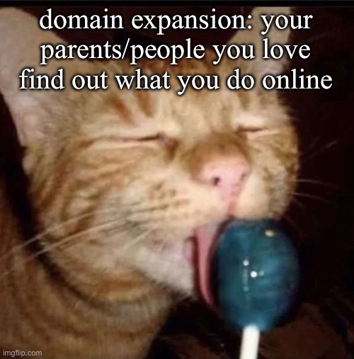 this guy does these on another app so like yuh | domain expansion: your parents/people you love find out what you do online | image tagged in silly goober 2 | made w/ Imgflip meme maker