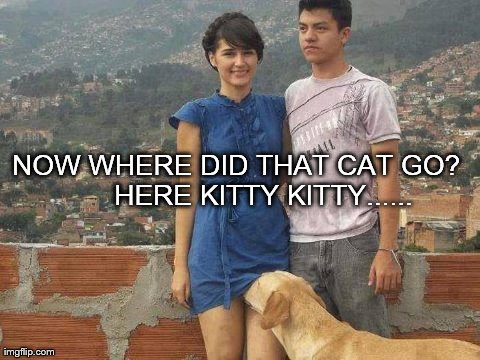 NOW WHERE DID THAT CAT GO?      HERE KITTY KITTY...... | made w/ Imgflip meme maker
