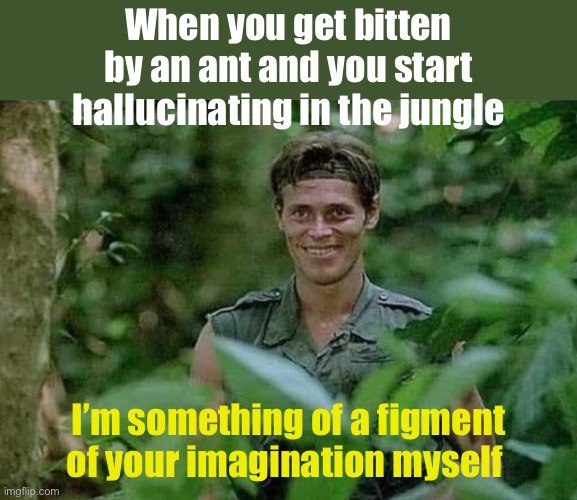 Hallucinating | When you get bitten by an ant and you start hallucinating in the jungle; I’m something of a figment of your imagination myself | image tagged in willem dafoe grin in the bushes | made w/ Imgflip meme maker