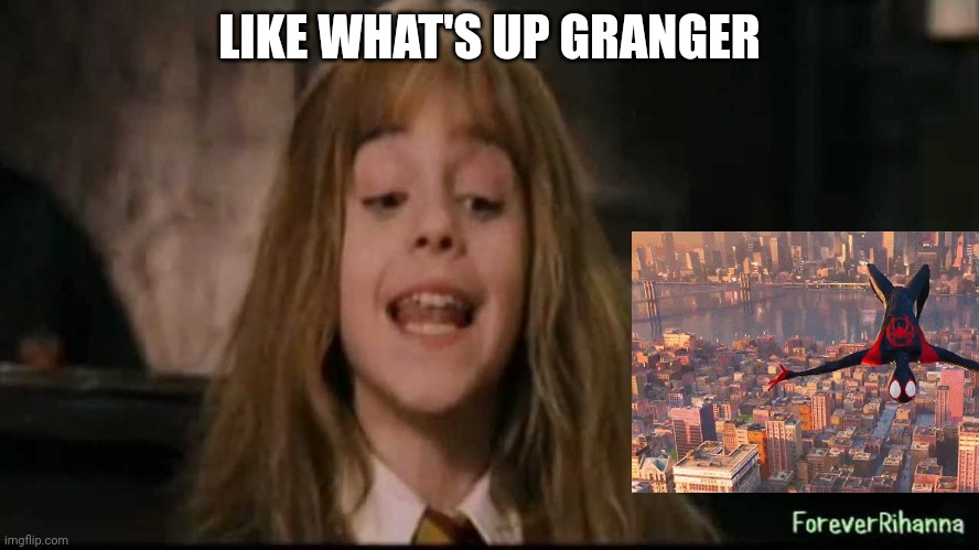 hermione | LIKE WHAT'S UP GRANGER | image tagged in hermione | made w/ Imgflip meme maker