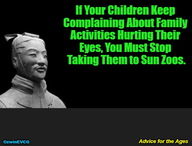 Advice for the Ages | If Your Children Keep 

Complaining About Family 

Activities Hurting Their 

Eyes, You Must Stop 

Taking Them to Sun Zoos. Advice for the Ages; OzwinEVCG | image tagged in sun tzu,children,family life,a day out,ouch mine eyes,the zoo | made w/ Imgflip meme maker