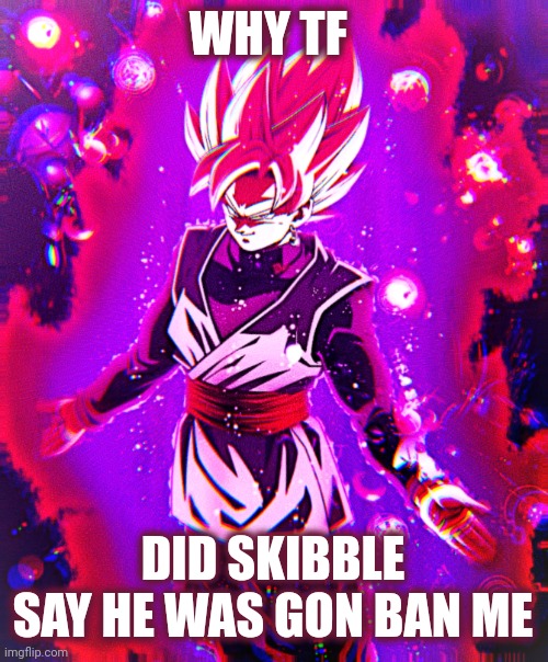 Goku black there is no longer _ improved | WHY TF; DID SKIBBLE SAY HE WAS GON BAN ME | image tagged in goku black there is no longer _ improved | made w/ Imgflip meme maker