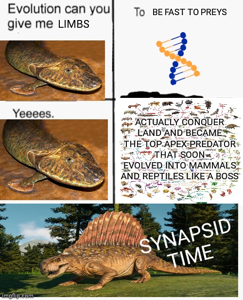 synapsid time | BE FAST TO PREYS; LIMBS; ACTUALLY CONQUER LAND AND BECAME THE TOP APEX PREDATOR THAT SOON EVOLVED INTO MAMMALS AND REPTILES LIKE A BOSS; SYNAPSID TIME | image tagged in evolution can you give me,prehistoric | made w/ Imgflip meme maker