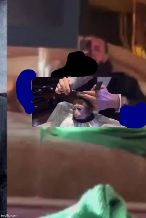 Drake combing a monkey while wearing blue jeans | made w/ Imgflip meme maker