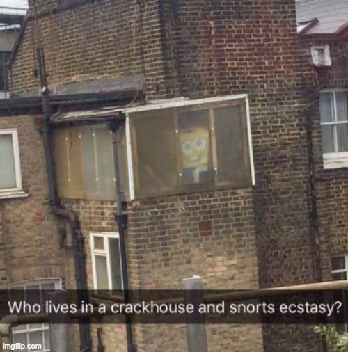 Who lives in a crackhouse and snorts ecstasy? | image tagged in who lives in a crackhouse and snorts ecstasy | made w/ Imgflip meme maker