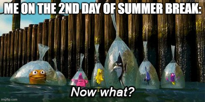 What should I do guys? | ME ON THE 2ND DAY OF SUMMER BREAK: | image tagged in now what,summer time,summer vacation,school sucks | made w/ Imgflip meme maker