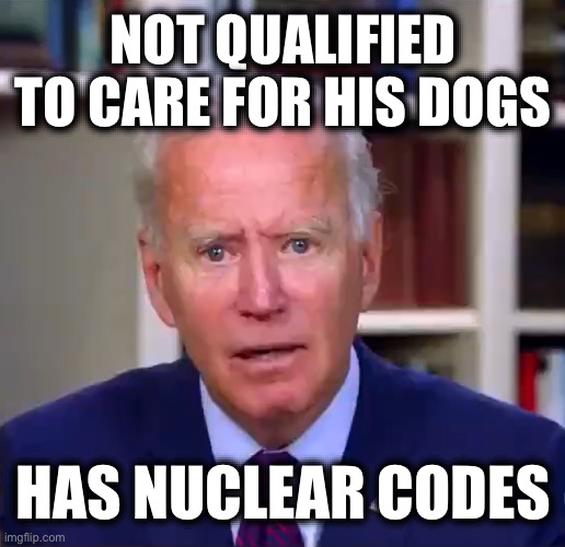 Slow Joe Biden Dementia Face | NOT QUALIFIED TO CARE FOR HIS DOGS; HAS NUCLEAR CODES | image tagged in slow joe biden dementia face | made w/ Imgflip meme maker