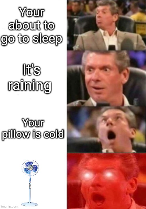 I love my life | Your about to go to sleep; It's raining; Your pillow is cold | image tagged in mr mcmahon reaction | made w/ Imgflip meme maker