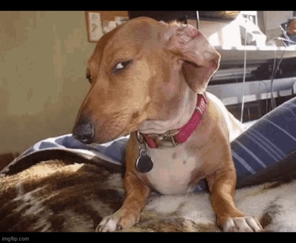 You know you aren't, I know you aren't, I know that you know that I know that you aren't. So who are you lying to? | made w/ Imgflip meme maker