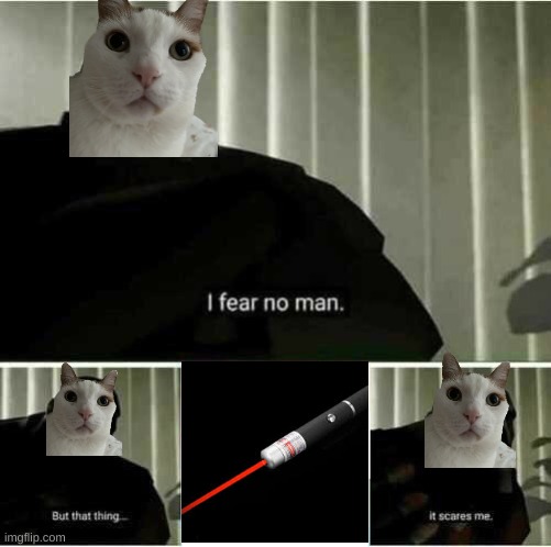Cats worst enemy | image tagged in i fear no man | made w/ Imgflip meme maker