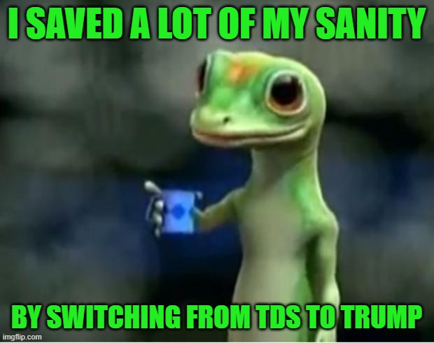 Friends Don't Let Friends TDS | I SAVED A LOT OF MY SANITY; BY SWITCHING FROM TDS TO TRUMP | image tagged in geico gecko | made w/ Imgflip meme maker