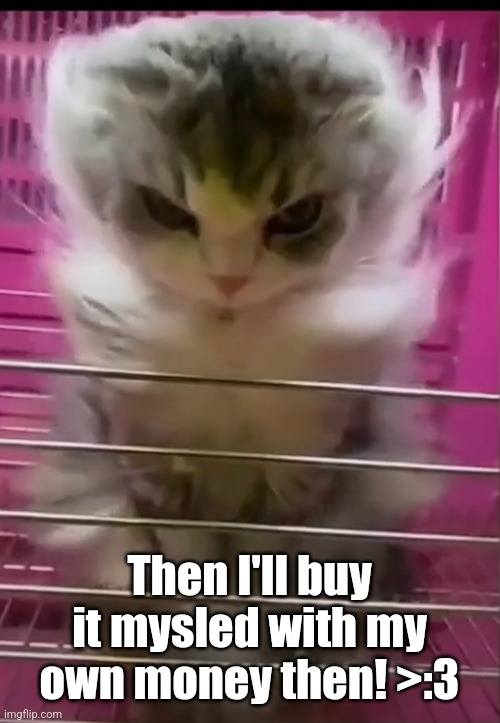 Cat god | Then I'll buy it mysled with my own money then! >:3 | image tagged in cat god | made w/ Imgflip meme maker