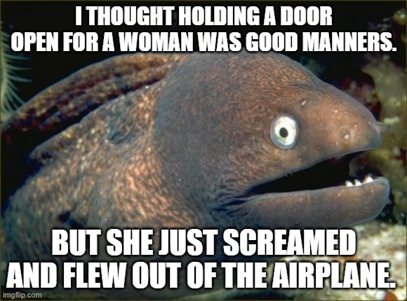 Bad Joke Eel Meme | I THOUGHT HOLDING A DOOR OPEN FOR A WOMAN WAS GOOD MANNERS. BUT SHE JUST SCREAMED AND FLEW OUT OF THE AIRPLANE. | image tagged in memes,bad joke eel,funny memes,dark humor,holy crap,lol so funny | made w/ Imgflip meme maker
