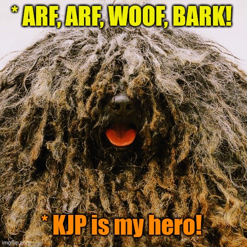 Kanine Jean Pierre | * ARF, ARF, WOOF, BARK! * KJP is my hero! | image tagged in kanine jean pierre | made w/ Imgflip meme maker