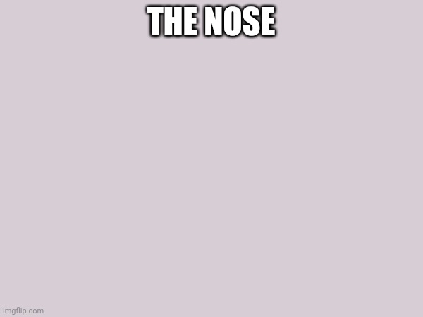 THE NOSE | made w/ Imgflip meme maker
