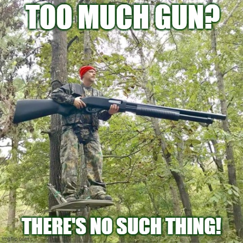 Guns | TOO MUCH GUN? THERE'S NO SUCH THING! | image tagged in big gun,hunting,gun rights,man with a gun,2nd amendment | made w/ Imgflip meme maker