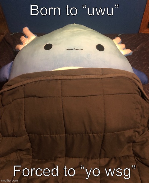 v eepy | Born to “uwu” Forced to “yo wsg” | image tagged in v eepy | made w/ Imgflip meme maker