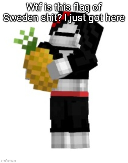 Wtf is this flag of Sweden shit? I just got here | made w/ Imgflip meme maker