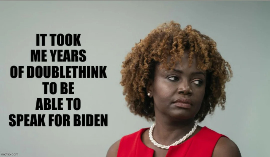 She had to really work on her lying to get the job | image tagged in only liars,need apply,contact biden regime | made w/ Imgflip meme maker