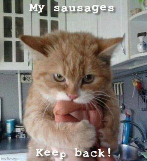 They're mine... all mine! | image tagged in vince vance,cats,kittens,sausages,selfishness,funny cat memes | made w/ Imgflip meme maker