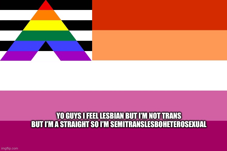 Lesbian flag | YO GUYS I FEEL LESBIAN BUT I’M NOT TRANS BUT I’M A STRAIGHT SO I’M SEMITRANSLESBOHETEROSEXUAL | image tagged in lesbian flag | made w/ Imgflip meme maker
