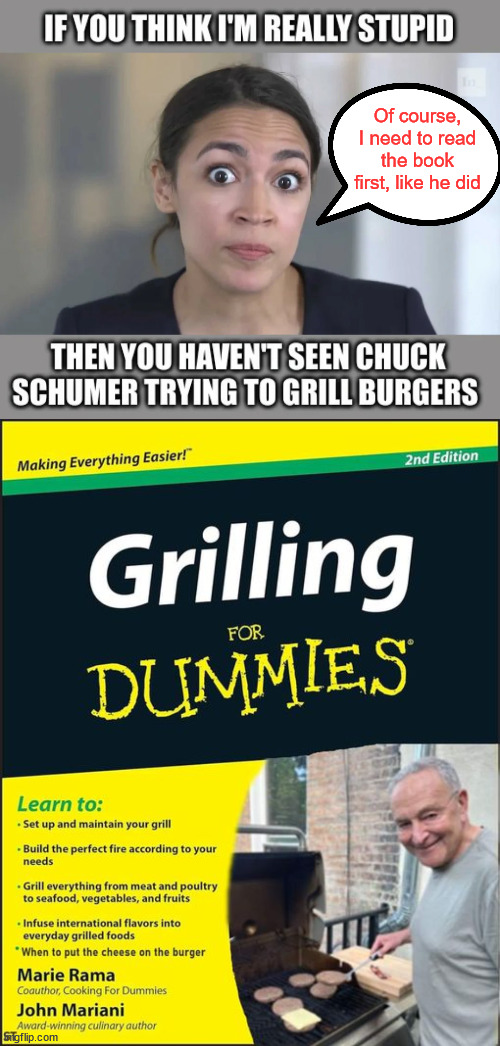 Grilling for dummies... AOC recommended | Of course, I need to read the book first, like he did | image tagged in grilling for dummies,aoc,that should fit nicely | made w/ Imgflip meme maker