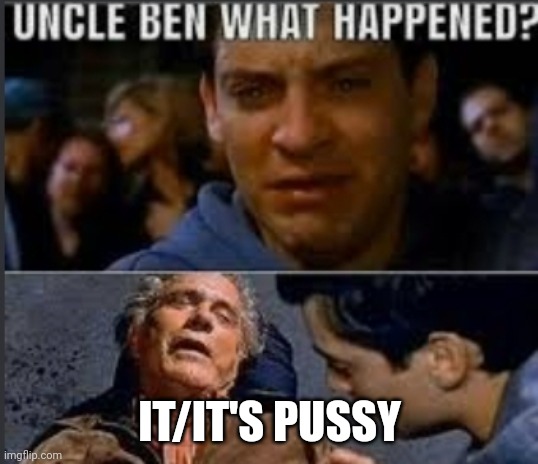 Uncle ben what happened | IT/IT'S PUSSY | image tagged in uncle ben what happened | made w/ Imgflip meme maker
