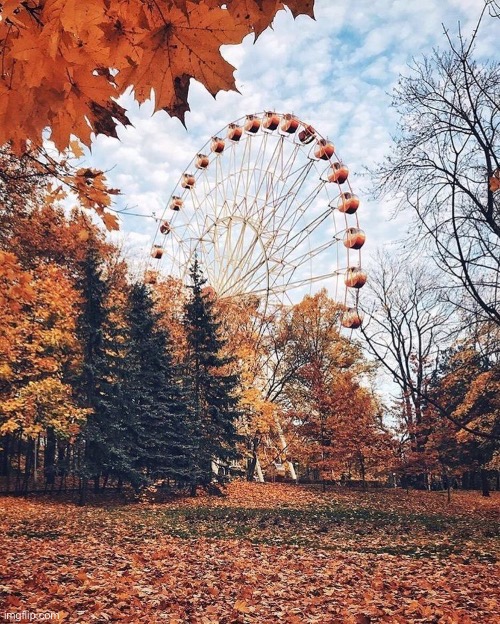 Ferris Wheel In Fall | image tagged in ferris wheel in fall | made w/ Imgflip meme maker