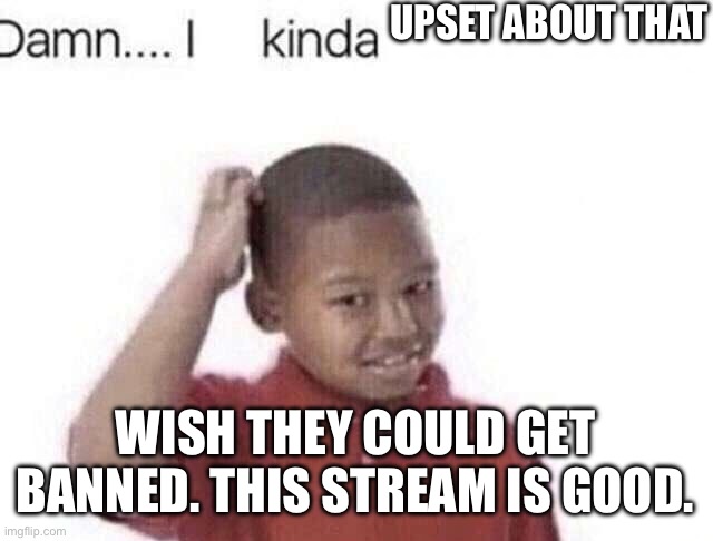 Damn I kinda don’t meme | UPSET ABOUT THAT WISH THEY COULD GET BANNED. THIS STREAM IS GOOD. | image tagged in damn i kinda don t meme | made w/ Imgflip meme maker